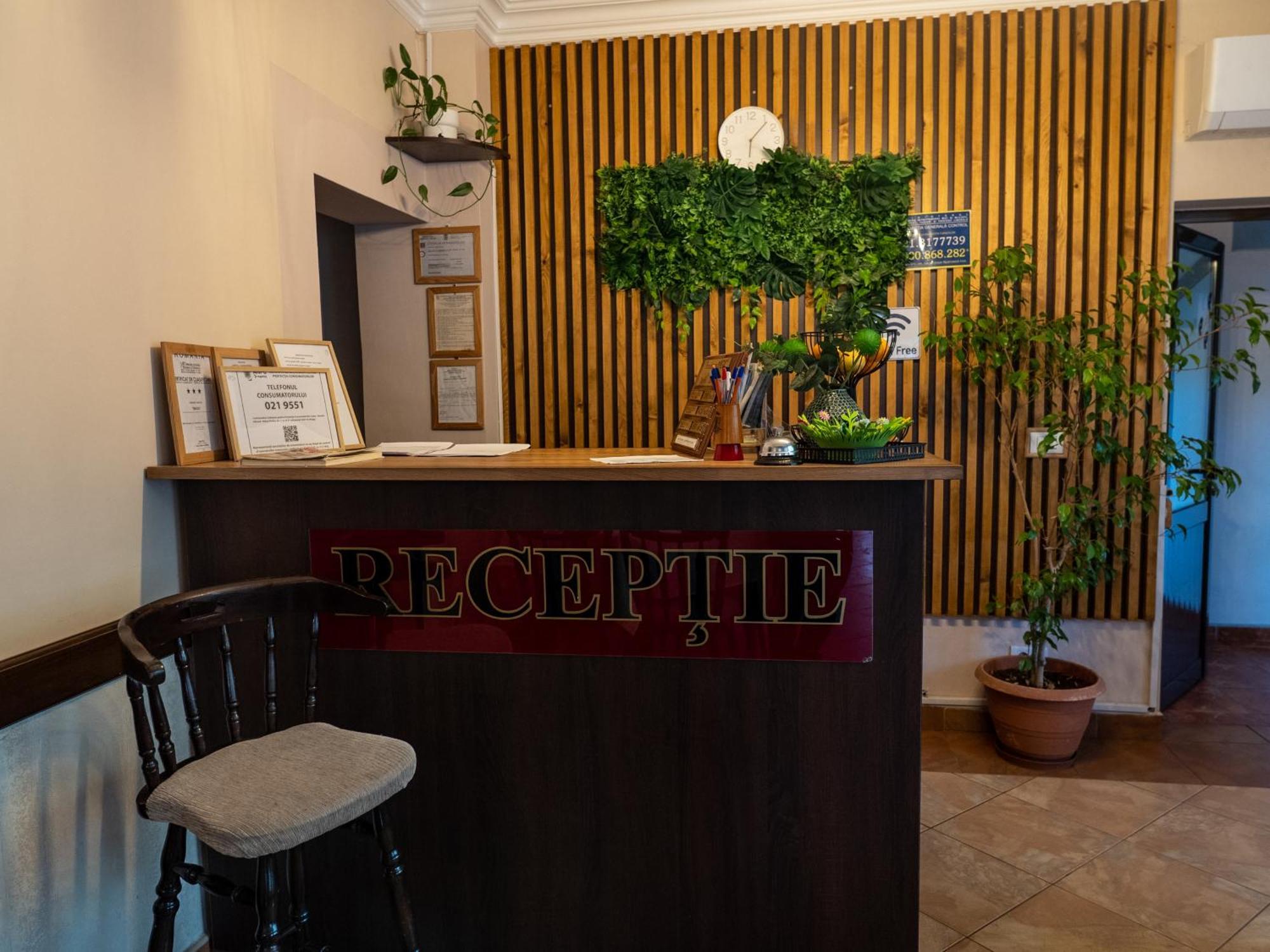 Guesthouse Magic Бэиле-Еркулане Экстерьер фото
